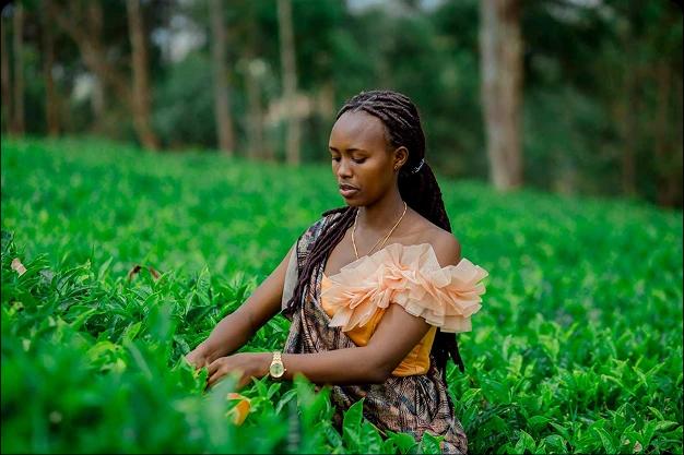 Agricultural Extension Services